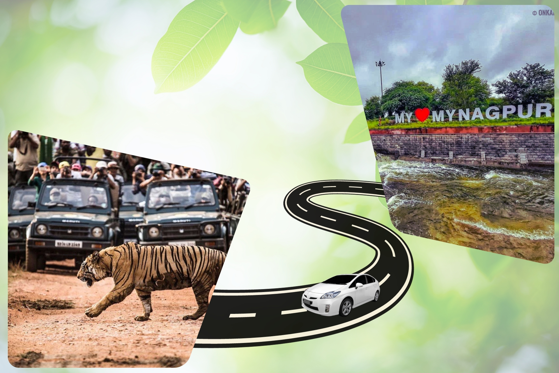 Nagpur To Kanha Taxi Services