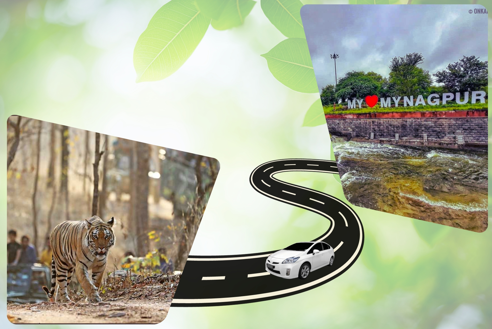 Nagpur To Pench Taxi Services