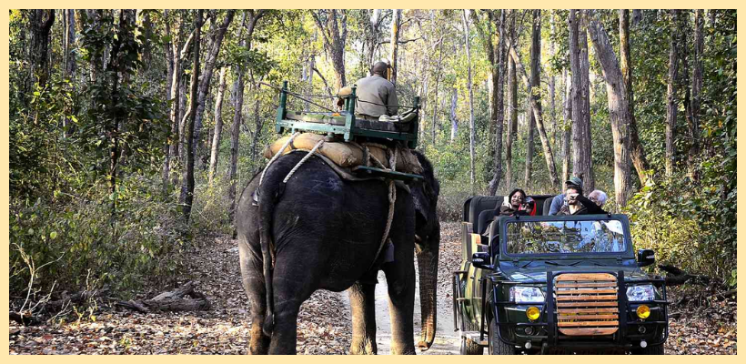 Pench National Park- Experience the natural wonders of Pench National Park, where the wilderness comes alive. Immerse yourself in the diverse landscapes, from dense forests to open grasslands, providing a haven for a variety of wildlife.