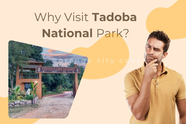 Why Visit Tadoba National Park?