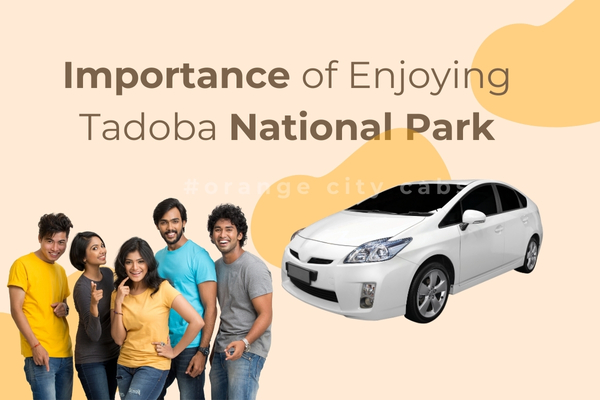 Importance of Enjoying Tadoba National Park