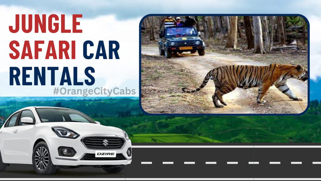 Jungle Safari Car Rentals