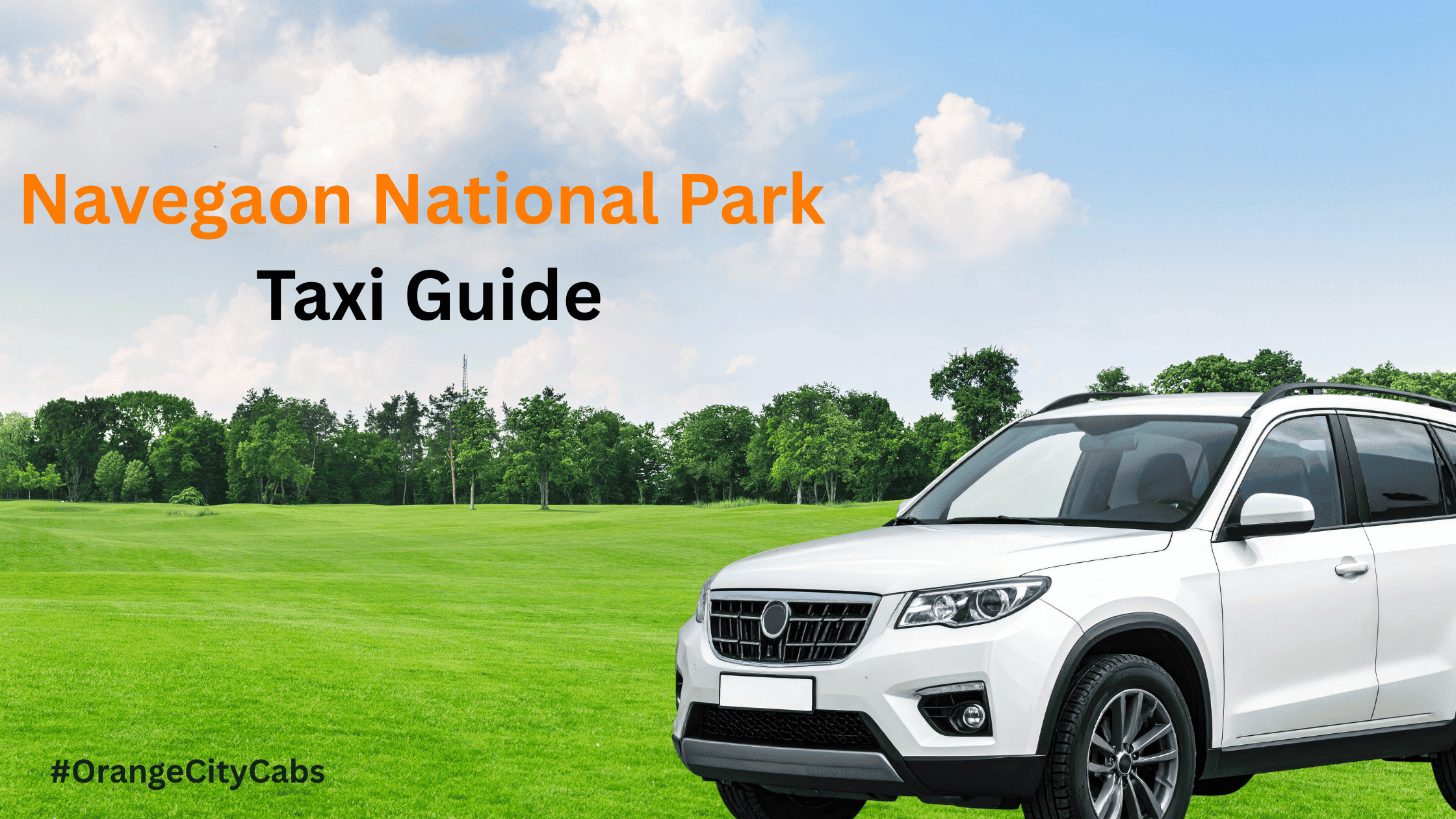 Navegaon National Park Taxi Guide
